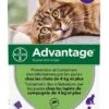 Advantage 80 Chat Et Lapin De + De 4 Kg Pipettes X6 -Beaphar Chat Boutique advantage 80 chat et lapin de plus de 4 kg 6 pipettes