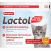 Beaphar Lactol Lait Maternisé Pour Chatons 500 G -Beaphar Chat Boutique beaphar lactol lait maternise pour chatons 250 g 2