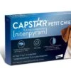 Capstar 11.4 Mg Petit Chien -Beaphar Chat Boutique capstarpetitchien 1