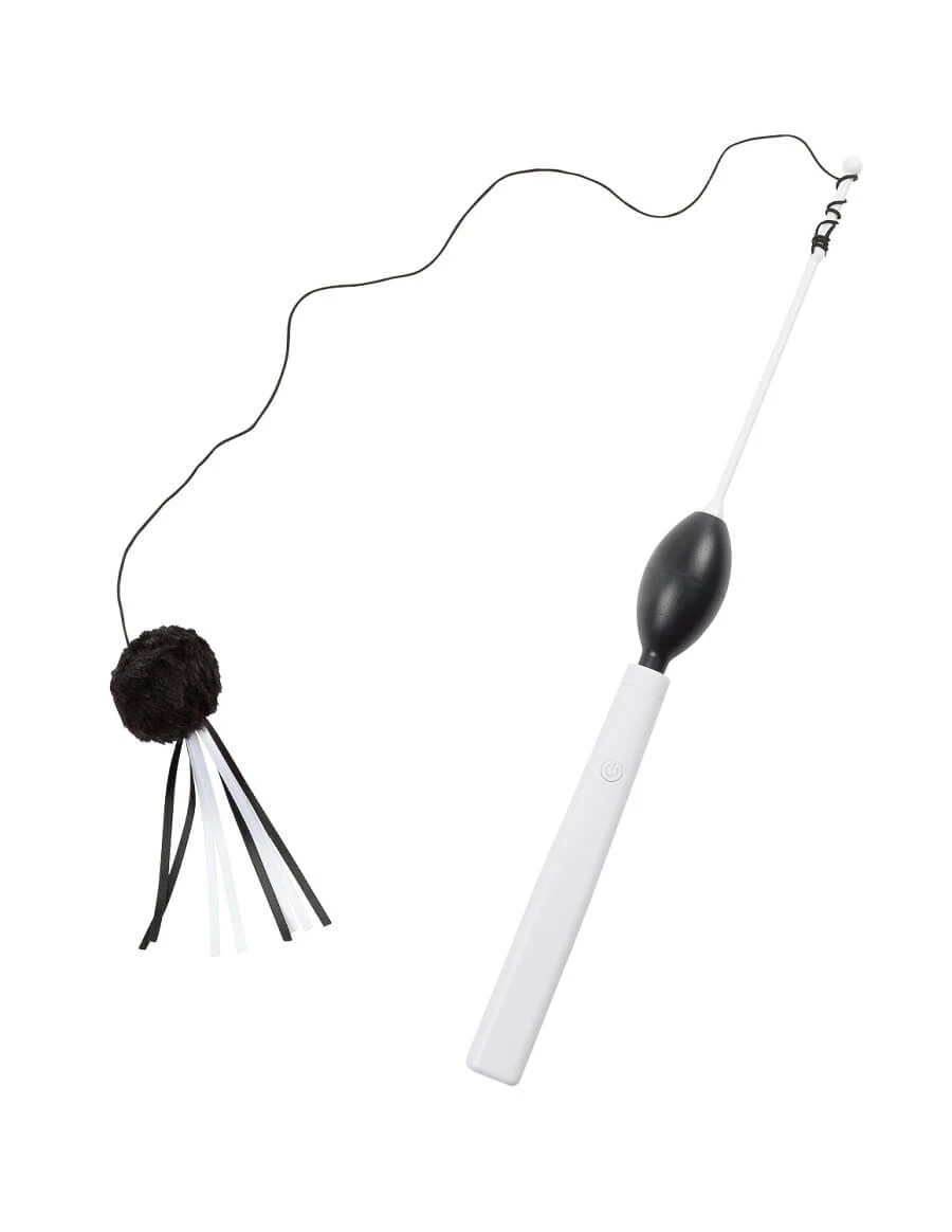 Eyenimal Ribbon Teaser Canne à Pêche Motorisée Pour Chat