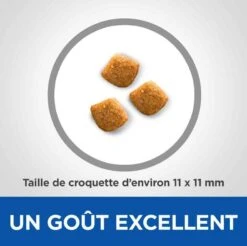 Hill's Science Plan VetEssentials Feline Young Adult Dental Health Poulet 10 Kg -Beaphar Chat Boutique hill s vetessentials feline young adult dental health poulet 10 kg2