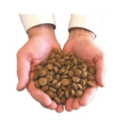 Felichef Croquettes BIO Chat Stérilisé 2 Kg -Beaphar Chat Boutique main avec croquettes 1