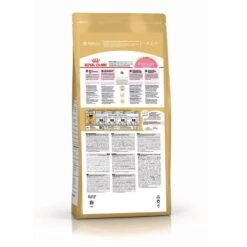 Royal Canin Persian Kitten 10 Kg -Beaphar Chat Boutique pers kit arriere pack 2