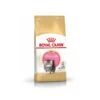 Royal Canin Persian Kitten 10 Kg 2 Royal Canin Persian Kitten 10 Kg -Beaphar Chat Boutique pers kit pack 2