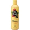 Pet Head Shampooing Felin' Good 300 Ml -Beaphar Chat Boutique pet head shampooing felin good 300 ml