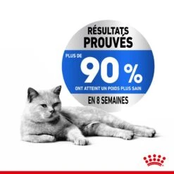 Royal Canin Féline Care Nutrition Light Weight Care 8 Kg -Beaphar Chat Boutique royal canin fe line care nutrition light weight care2 1