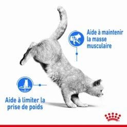 Royal Canin Féline Care Nutrition Light Weight Care 8 Kg -Beaphar Chat Boutique royal canin fe line care nutrition light weight care3 1