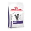 Royal Canin Vet Chat Adult 8 Kg 1 Royal Canin Vet Chat Adult 8 Kg -Beaphar Chat Boutique royal canin vet chat adult 8 kg