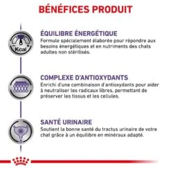 Royal Canin Vet Chat Adult 8 Kg -Beaphar Chat Boutique royal canin vet chat adult 8 kg 4