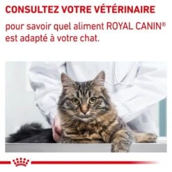 Royal Canin Vet Chat Adult 8 Kg -Beaphar Chat Boutique royal canin vet chat adult 8 kg 9