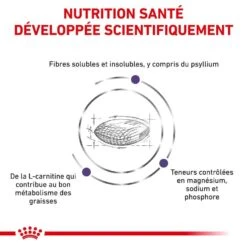 Royal Canin Vet Chat Neutered Satiety Balance 400 G -Beaphar Chat Boutique royal canin vet chat neutered satiety balance 400 g 4