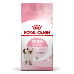 Royal Canin Féline Health Nutrition Kitten Second Age 10 Kg -Beaphar Chat Boutique royal canin f line health nutrition kitten second age 10 2