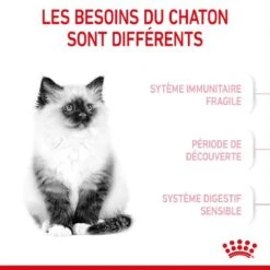 Royal Canin Féline Health Nutrition Kitten Second Age 10 Kg -Beaphar Chat Boutique royal canin f line health nutrition kitten second age 2 2