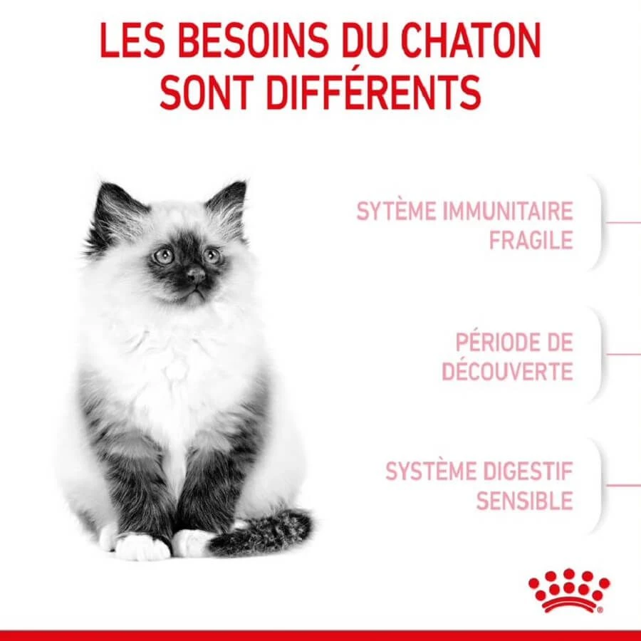 Royal Canin Féline Health Nutrition Kitten Second Age 10 Kg – Image 5