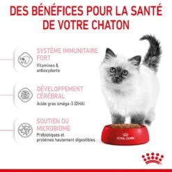 Royal Canin Féline Health Nutrition Kitten Second Age 10 Kg -Beaphar Chat Boutique royal canin f line health nutrition kitten second age 3 2