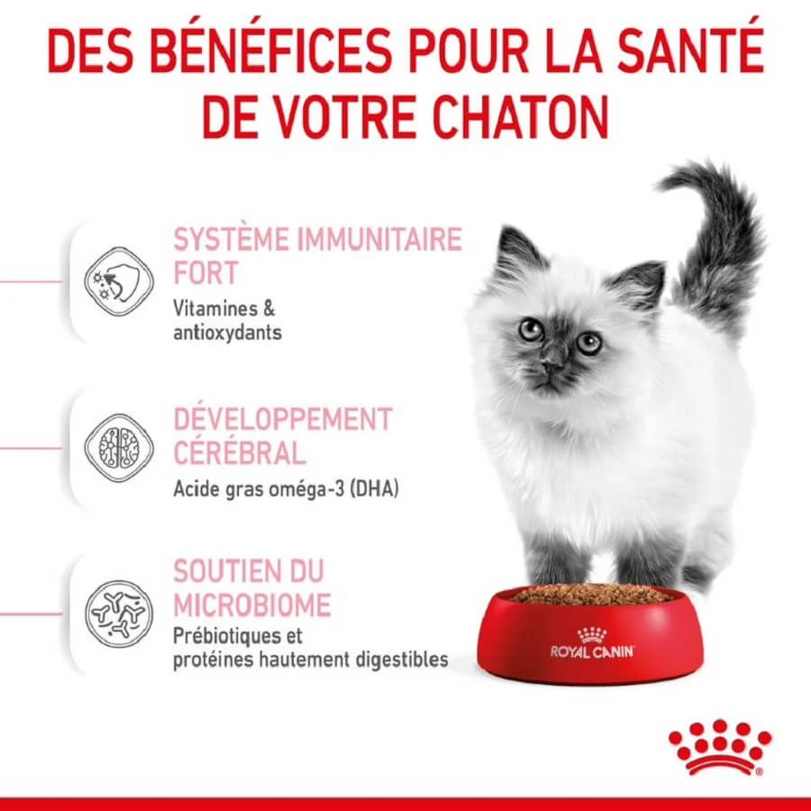 Royal Canin Féline Health Nutrition Kitten Second Age 10 Kg – Image 6