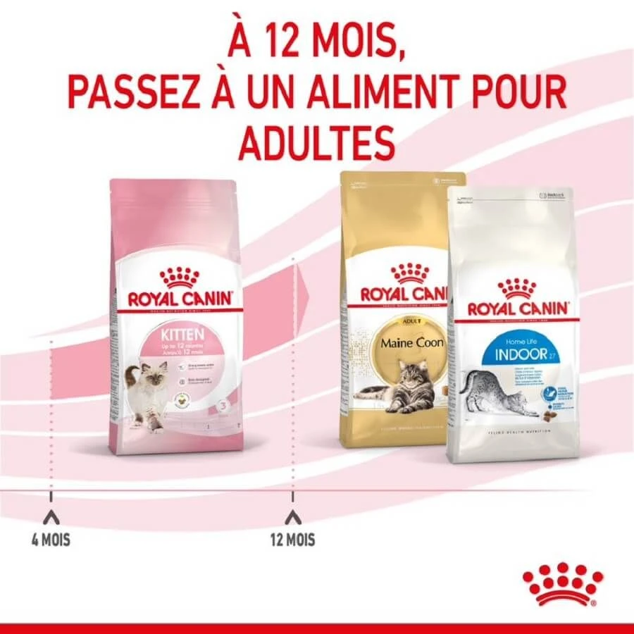 Royal Canin Féline Health Nutrition Kitten Second Age 10 Kg – Image 8