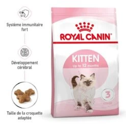 Royal Canin Féline Health Nutrition Kitten Second Age 10 Kg -Beaphar Chat Boutique royal canin f line health nutrition kitten second age 9 2