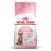 Royal Canin Feline Health Nutrition Kitten Sterilised 2 Kg -Beaphar Chat Boutique royal canin feline health nutrition kitten sterilised 9