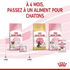 Royal Canin Feline Health Nutrition Mother & Babycat Mousse 12 X 195 G -Beaphar Chat Boutique royal canin feline health nutrition mother babycat mousse 12 x 195 g 8