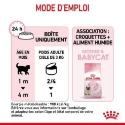 Royal Canin Feline Health Nutrition Mother & Babycat Mousse 12 X 195 G -Beaphar Chat Boutique royal canin feline health nutrition mother babycat mousse 12 x 195 g 9