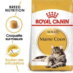 Royal Canin Maine Coon Adult 10 Kg -Beaphar Chat Boutique royal canin maine coon adult 3 2