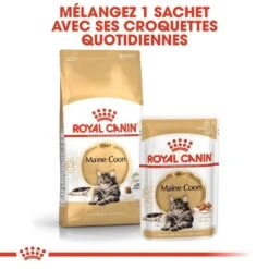 Royal Canin Maine Coon Adult 10 Kg -Beaphar Chat Boutique royal canin maine coon adult 6 2