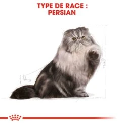 Royal Canin Persian Adult 2 Kg -Beaphar Chat Boutique royal canin persian adult 4
