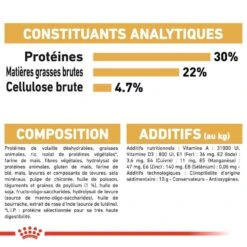 Royal Canin Persian Adult 2 Kg -Beaphar Chat Boutique royal canin persian adult 6