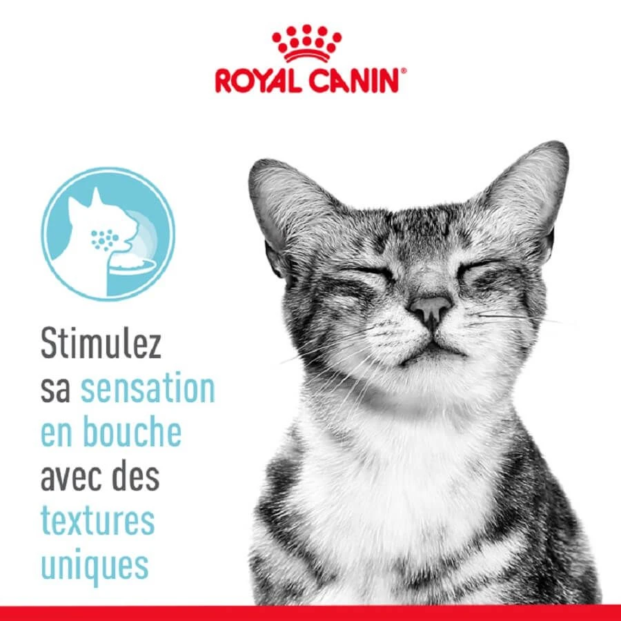 Royal Canin Sensory Feel En Sauce Pour Chat 12 X 85 G – Image 4