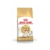 Royal Canin Siamois Adult 10 Kg -Beaphar Chat Boutique royal canin siamois adult