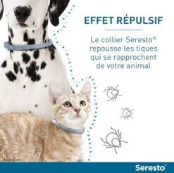 Seresto Collier Antiparasitaire Chat X2 -Beaphar Chat Boutique serestochatchien