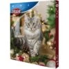 Trixie Calendrier De L'Avent Pour Chat 2022 -Beaphar Chat Boutique trixie calendrier de l avent pour chat 2022