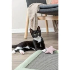 Trixie Tapis à Gratter Junior Chat 47 X 47 Cm -Beaphar Chat Boutique trixie tapis a gratter junior 47 x 47 cm 3