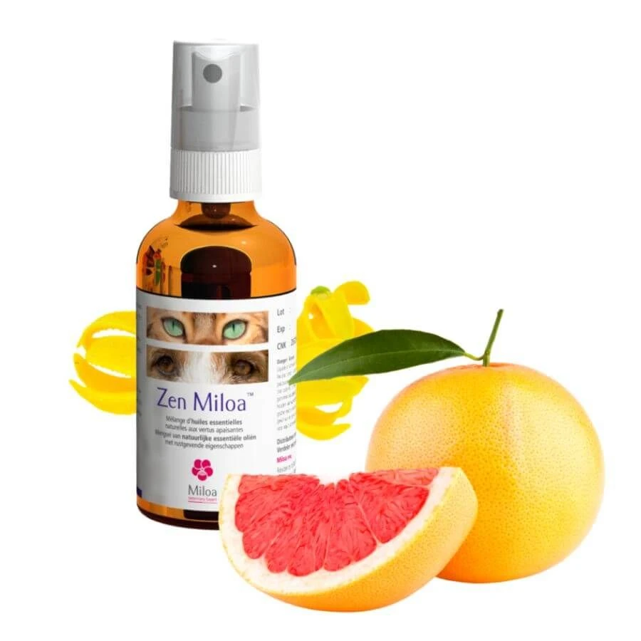 Zen Miloa 50 Ml 3 Zen Miloa 50 Ml