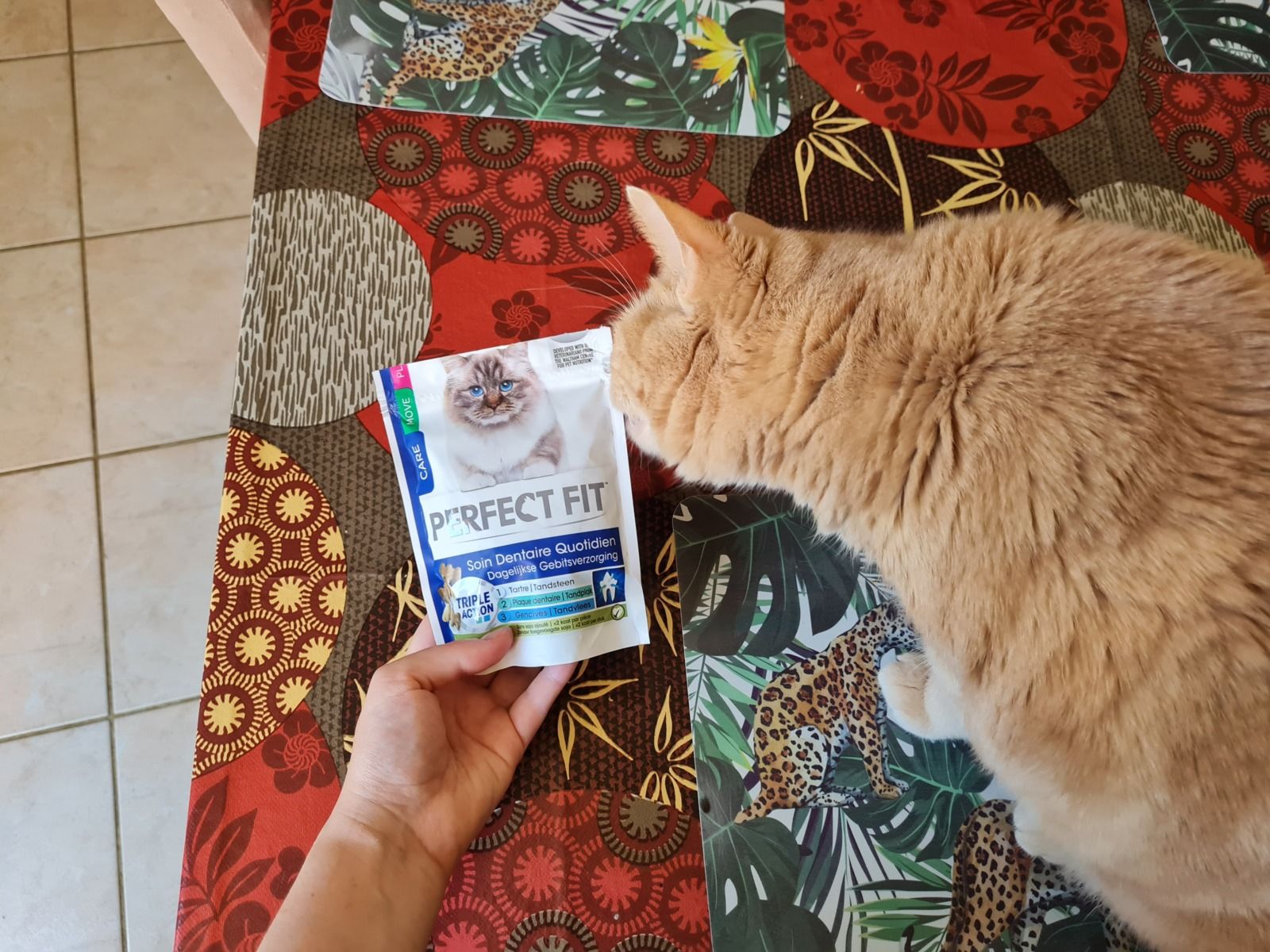 Beaphar Chat Boutique -Beaphar Chat Boutique image 0449289 20220807 ob 03b2a1 20220717 110752